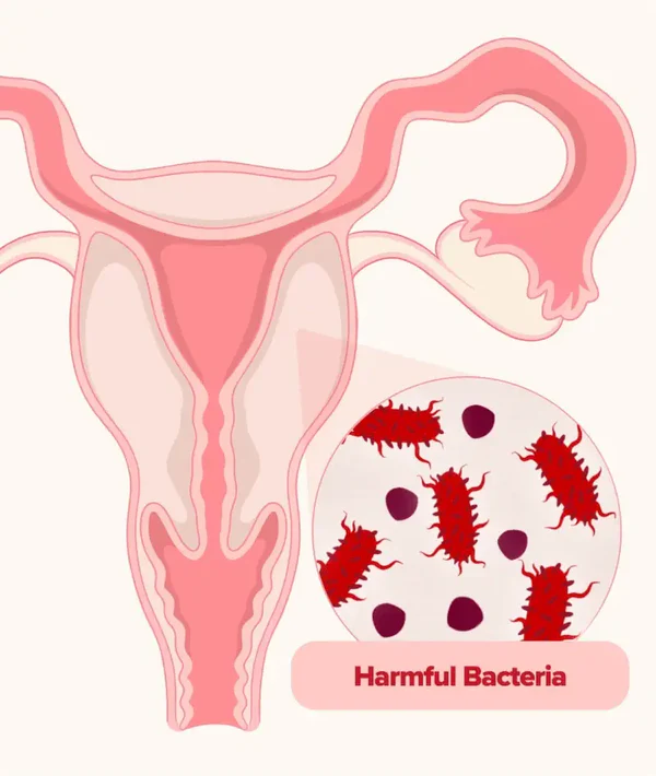 Vaginal Probiotic Capsules